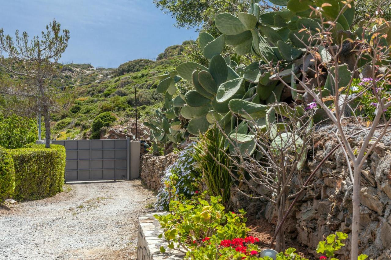 Villa Ourania Αγία Πελαγία  Εξωτερικό φωτογραφία